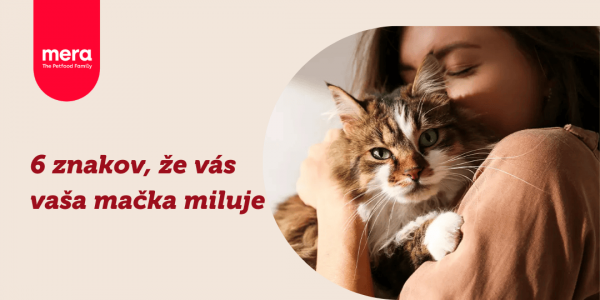 6 znakov, že vás vaša mačka miluje