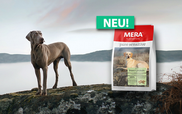 Nové krmivo pre psov - Pure Sensitive Insect Protein