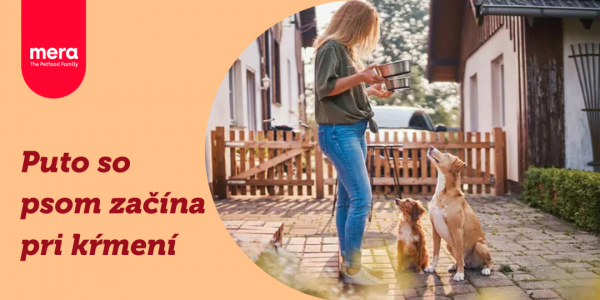 Prehlbujte puto s vašim psom prostredníctvom kŕmenia