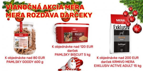 Vianočná akcia 2020