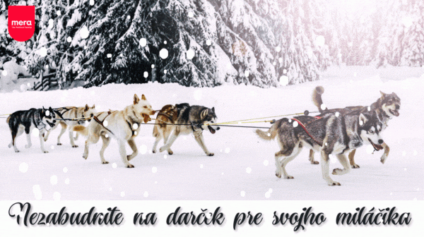 Vianočná akcia a pracovný čas počas sviatkov