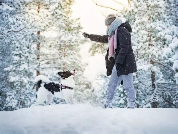 Psy v zime – tipy a triky